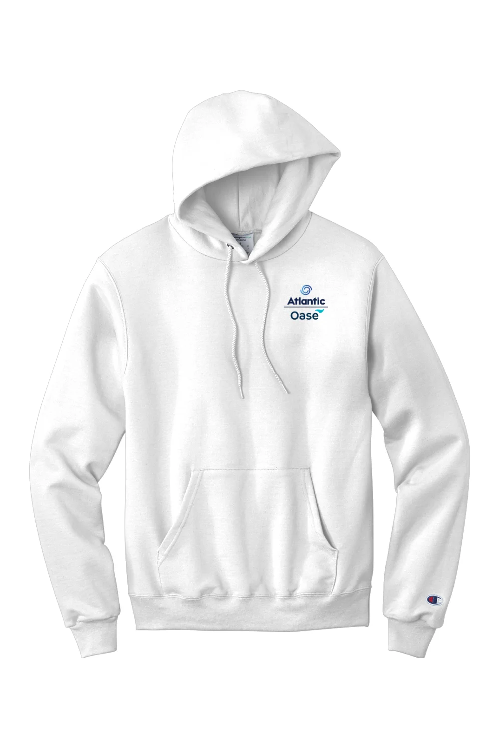 Alternative view of Men's Champion Hooded Sweatshirt | AO